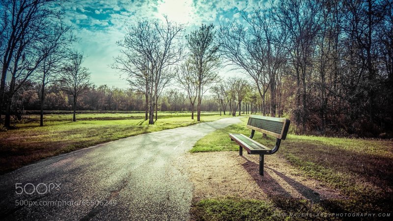 The Garden Bench. One of the nice benches along the way.