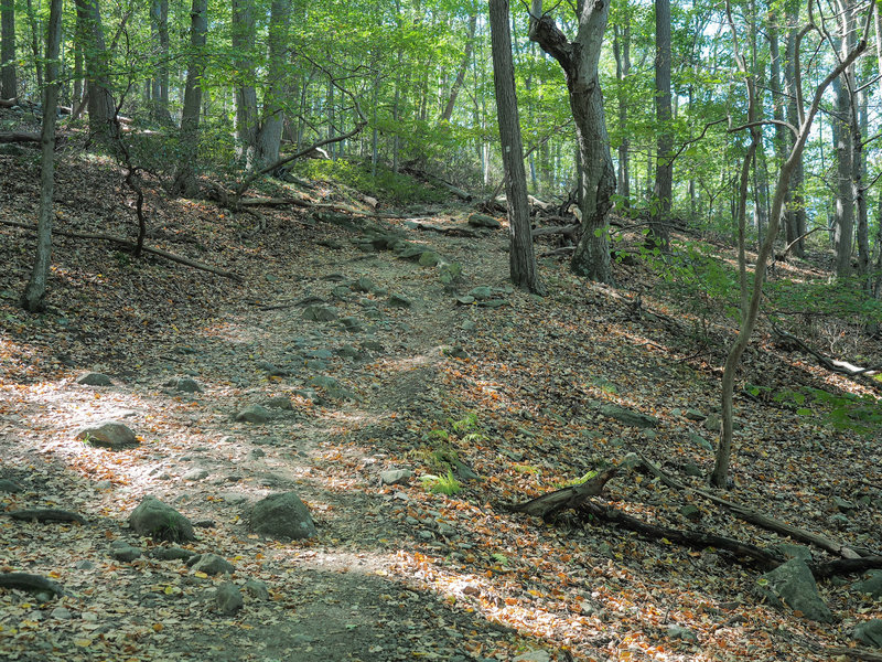 Bear Mountain Park.