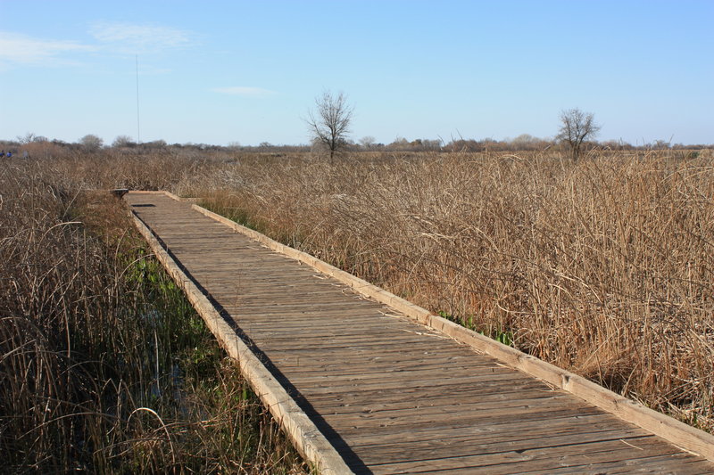 Boardwalk Trail at Cosumnes River Preserve.