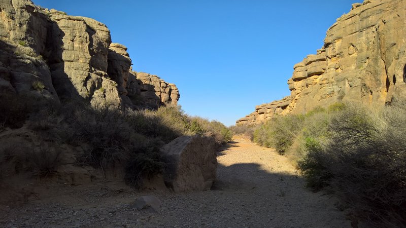 West side of mouth of Dog Canyon.