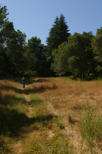 Rocky Ridge Trail.