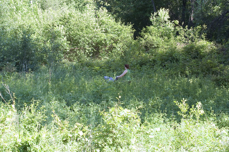 Enjoying the trails during a lush summer.