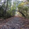 There's beautiful scenery along the Mountain Goat Trail in all seasons.