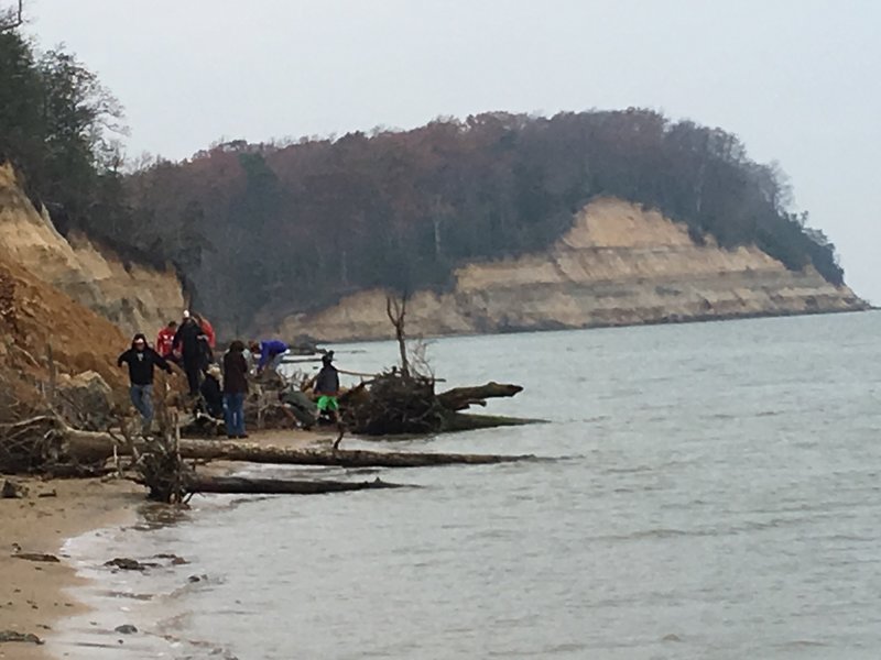 Calvert Cliffs - looking north from the beach.