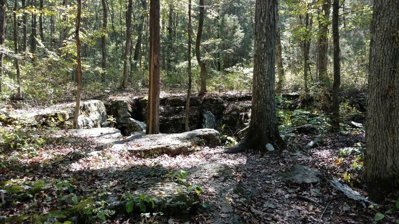 One of the bigger sink holes located about half way down the trail.