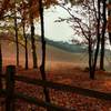 Beautiful view of the fort through the autumn foliage while following the path up from the visitor center.