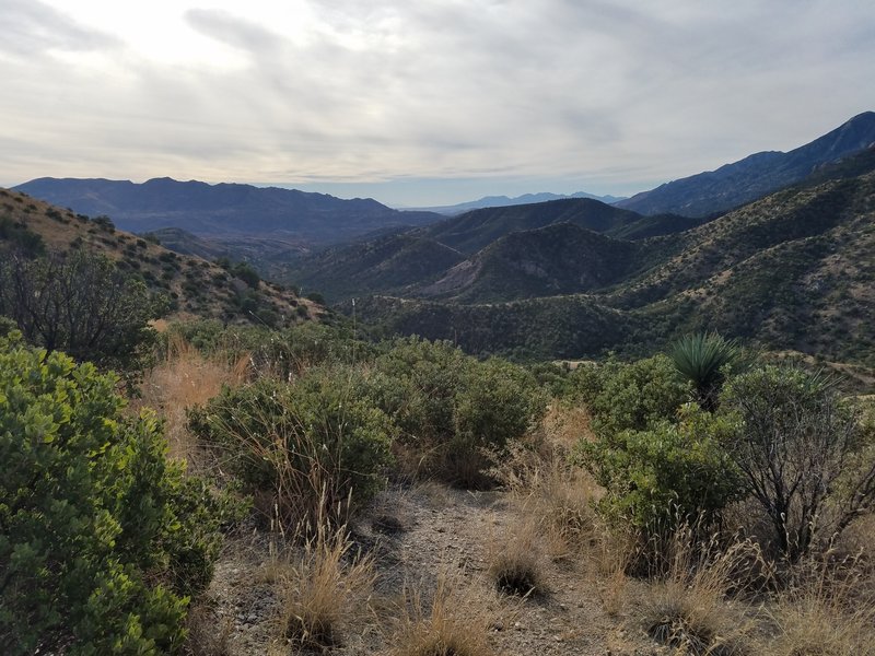 View from halfway up the trail.