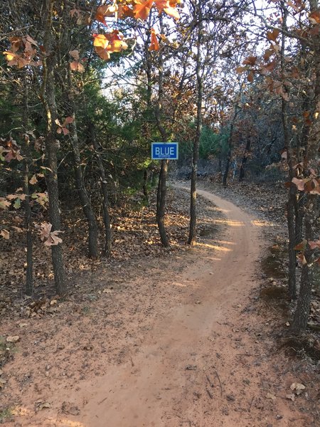 Entrance to the Blue Trail. This is approximately 0.4 miles from the start of the trail. You'll exit from the singletrack on Green to an open area. Turn right, go up the road until you see the Blue Trailhead on your left.