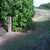 This alternate trail leads to sweeping views of the area.