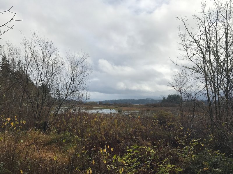 Views out of the Silver Lake area and the marshes from the trail.