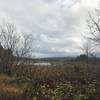 Views out of the Silver Lake area and the marshes from the trail.