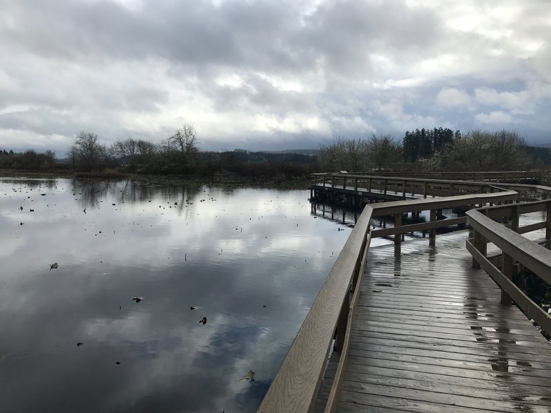 The trail emerges on the boardwalk where you can see ducks and other wildlife.