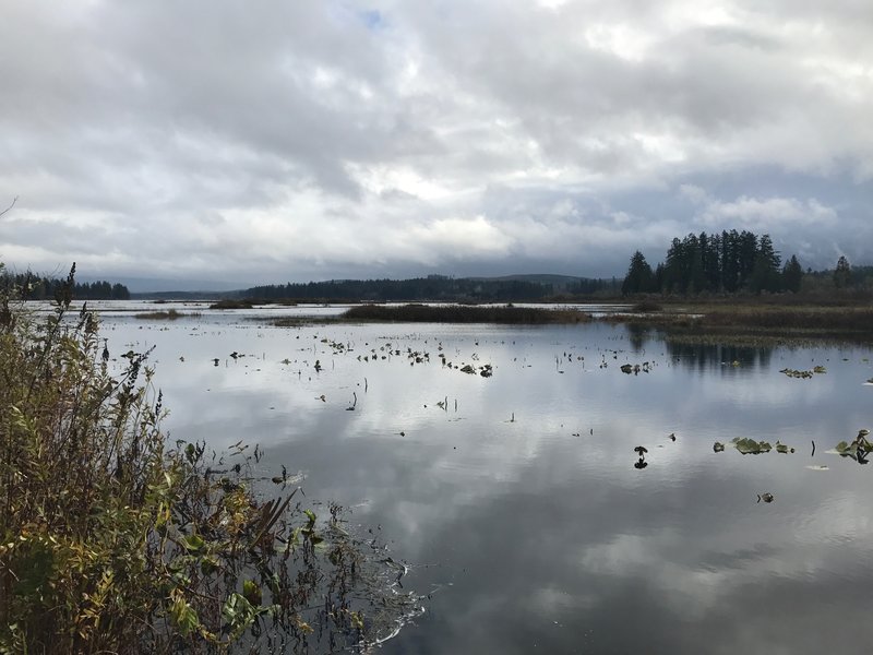 A view out over Silver Lake and the marshes created by the eruption.