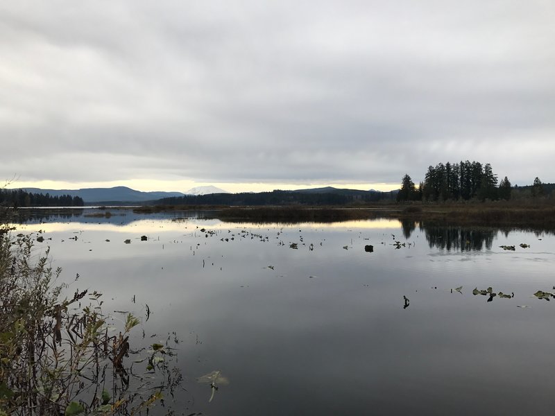 Mount St. Helens sits off in the distance and can be viewed on clearer days.