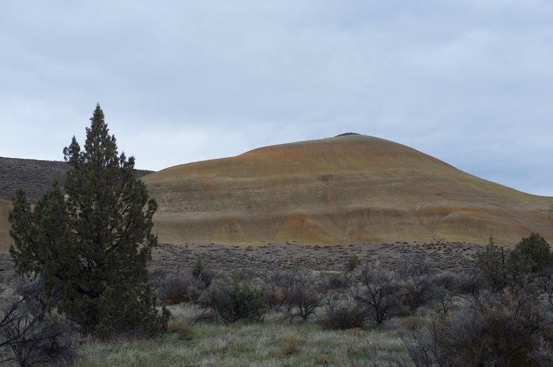 A large, yellow, clay hill can be seen off in the distance.  The colors are amazing and represent the different climate variations in different eras.