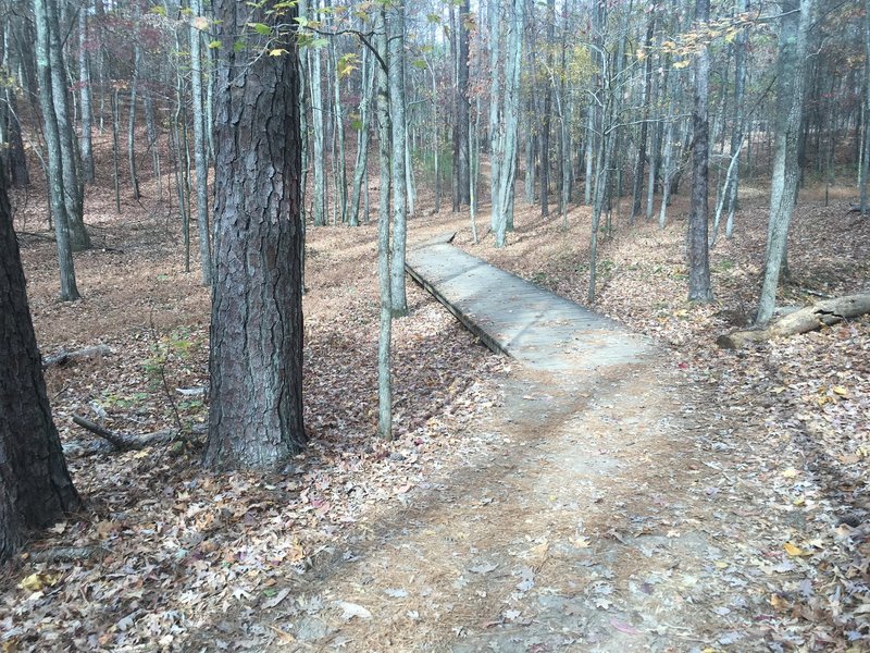 Boardwalk along the trail.