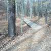 Boardwalk along the trail.