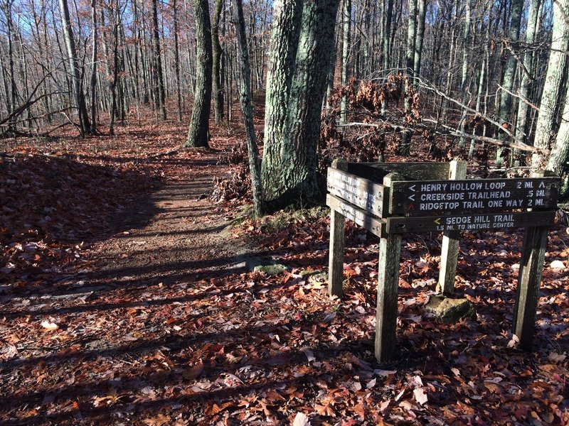 Loop trail begins here. You can go either direction, just follow the white blazes.