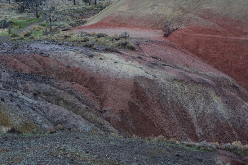 The Red Hill Trail allows you to see erosion at work.