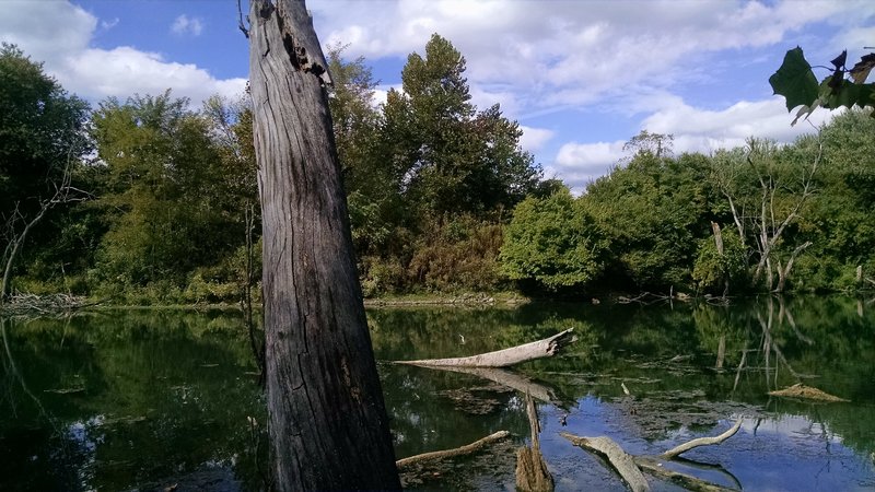 The view from the mid reach of the lagoon