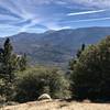 Grand View Point overlooking the mountains and the forest