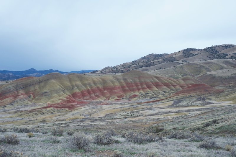 The Painted Hills are in full view throughout the hike.  Enjoy the reds, yellows, and blacks that paint the hills.