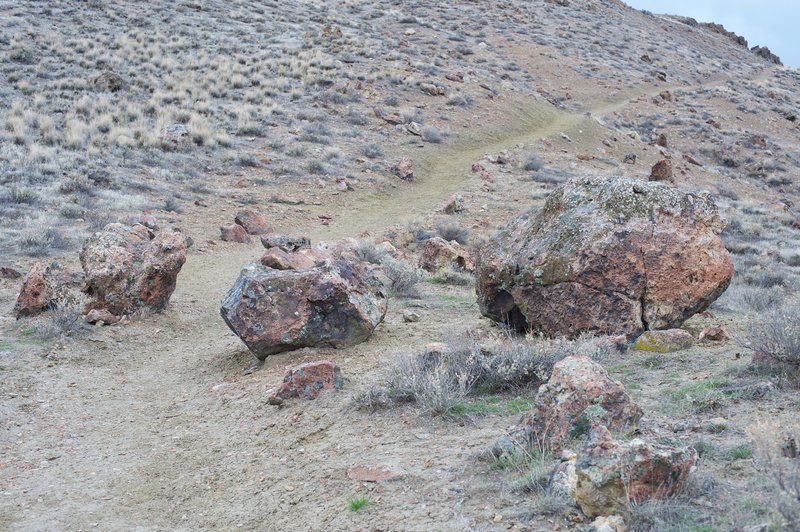 Large rocks that have rolled down the hill sit on either side of the trail.