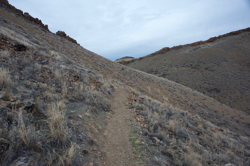 The trail as it climbs the hillside toward a notch in the hills.