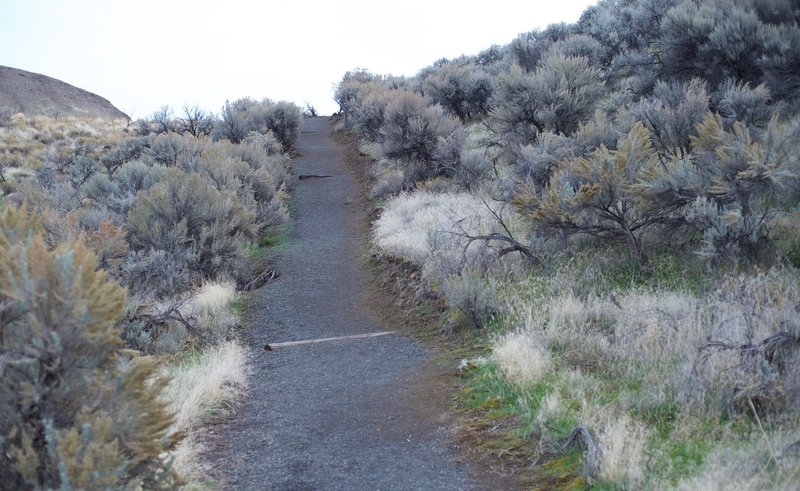 The trail is an easy hike or run along this gravel trail.