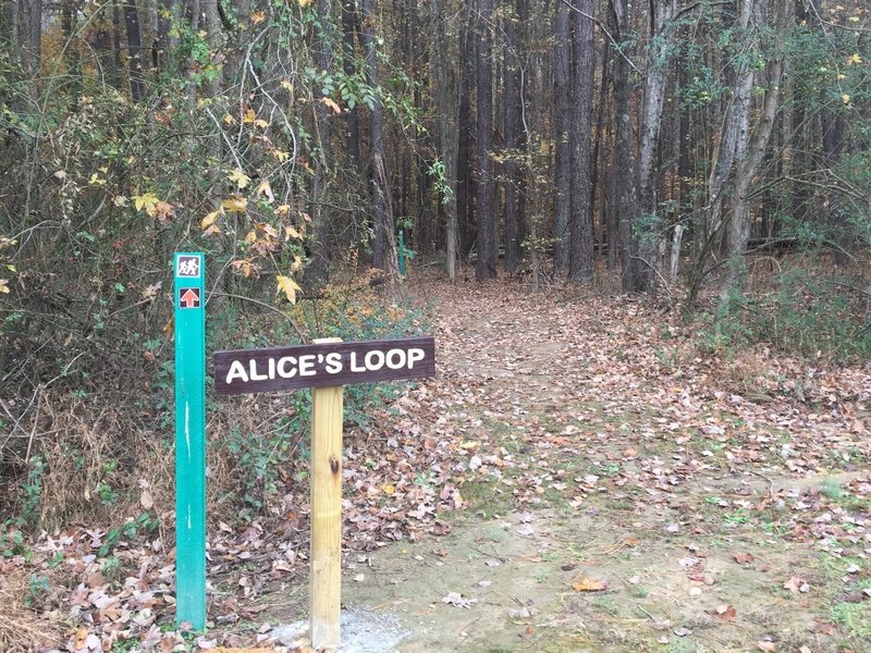 The entrance to Alice's Loop.