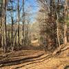 A portion of the trail follows the historic road that used to connect Chapel Hill to Hillsborough, prior to the construction of Hwy 86.