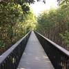 Boardwalk looking east