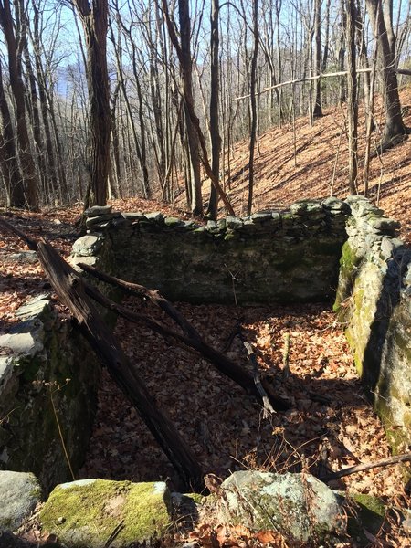 Lodge Spring House (slippery tree if you're heading in!)