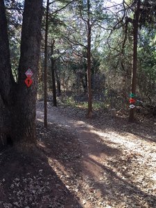 From the green trail turn left onto the orange trail. It is less than one mile long and ends at the end of the south power line road and links you back into the green trail.