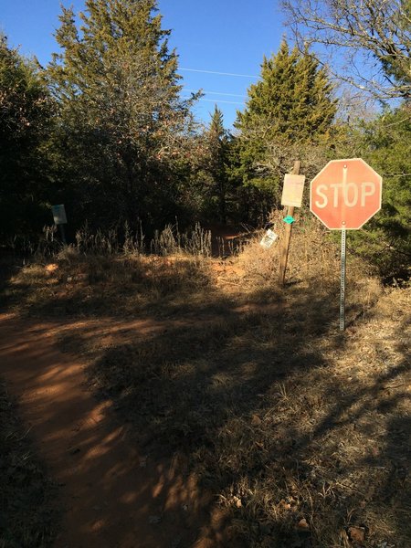 Stay to your left to stay on the green trail. In approximately 1 mile you'll join the yellow trail.