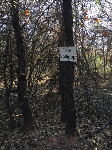 Less than half a mile in, you'll see the Lollipop sign. It is a 1 mile section of the yellow trail that leads you to the Over Under Bridge.