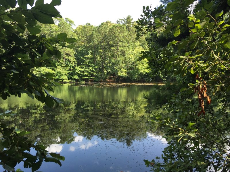 Sibley Pond in the Sope Creek loop quietly reflects the surrounding woods.