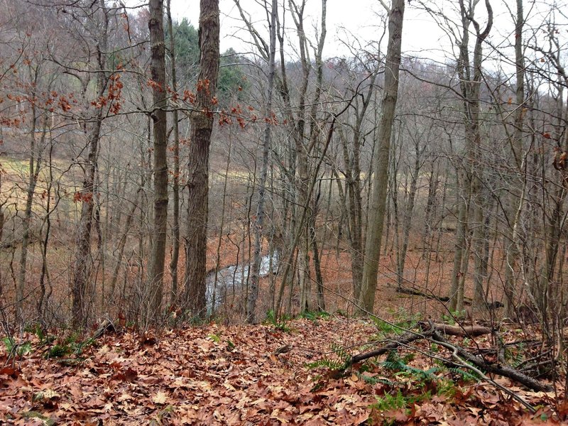 At the crest of the dropoff on the Towhee Trail looking over Trout Run and the flood plain.