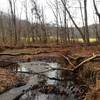 Trout Run is a typical PA stream with muddy banks, debris, and river-stone shores.