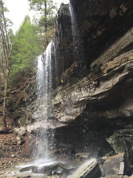 Ranger Falls .5 mile spur off Big Creek Gulf Trail.  A short detour well worth the trip.