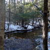 Crossing the West Branch of the Olivarian Brook