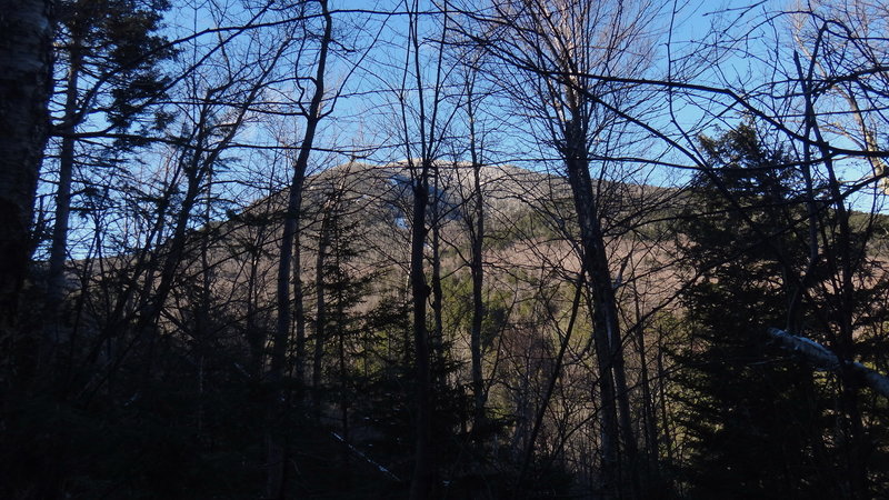 View of Mt. Passaconaway.