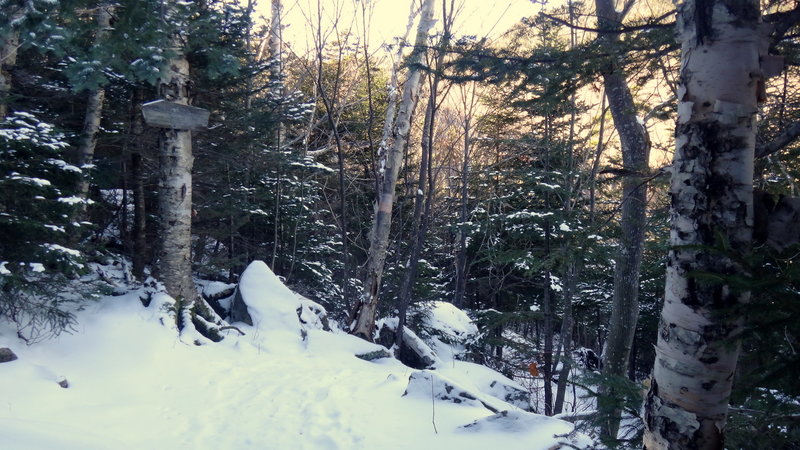 End of the trail at the Junction with the Square Ledge Trail