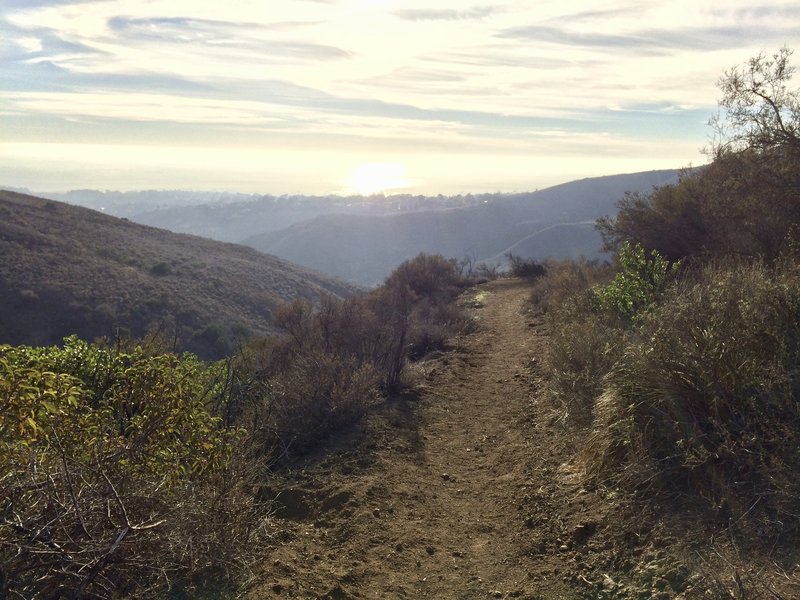 Traversing the Canyon View Trail overlooking Malibu and the Pacific Ocean