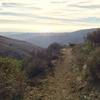 Traversing the Canyon View Trail overlooking Malibu and the Pacific Ocean