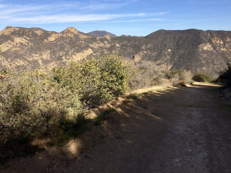 The view from Zuma-Edison Fire Road looking east