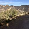 The view from Zuma-Edison Fire Road looking east