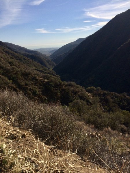 Zuma-Edison Fire Road offers visitors great views of Zuma Canyon and the ocean beyond.