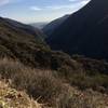 Zuma-Edison Fire Road offers visitors great views of Zuma Canyon and the ocean beyond.