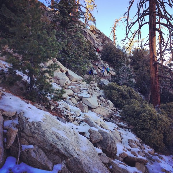 Visitors to the Skyline Trail can expect a steep and rocky ascent.